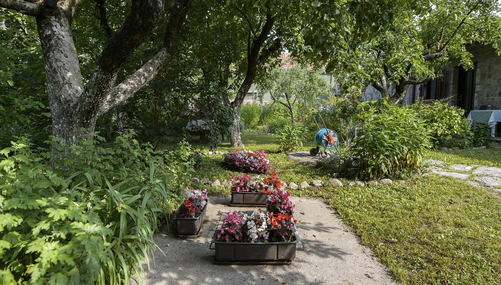 La Vecchia Casa Hotel Cetinje Bagian luar foto